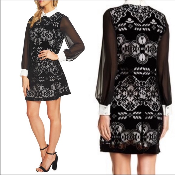 Peter Pan Collar Black Velvet Burnout Tunic Shirt Goth Witchy Vibes Dress sz 10 - Picture 3 of 8